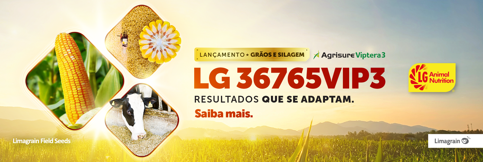 BANNER-SITE-LG-SEMENTES